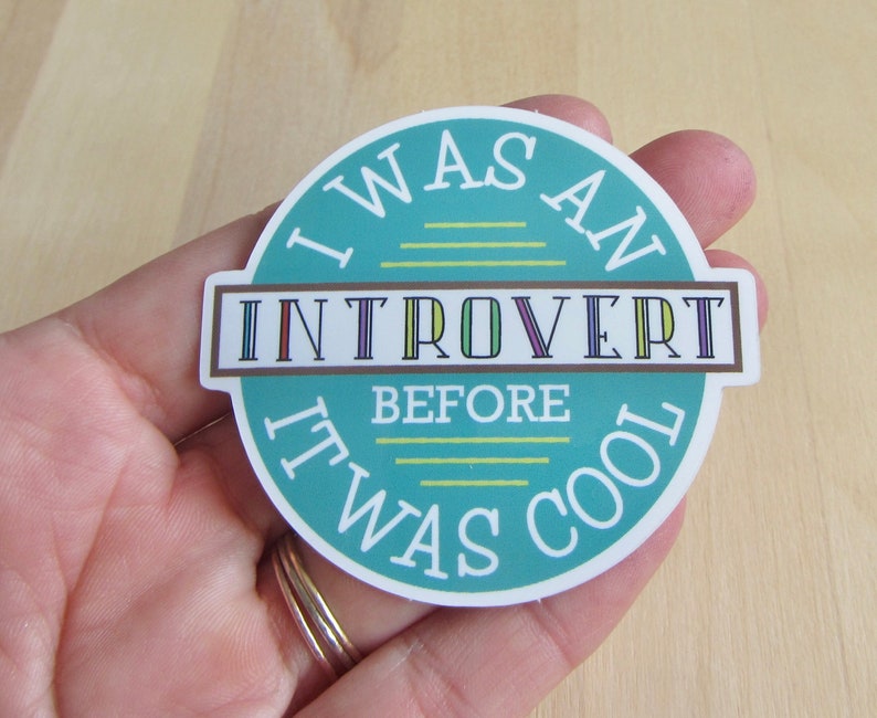 Introvert Vinyl Die Cut Sticker, Funny Introvert Gift, Introvert Word Typography Humor Stationery, Introvert Sticker Badge afbeelding 3