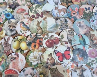 50 Animal Fruit & Flower Stickers, Whimsical Unique Botanical Sticker Set