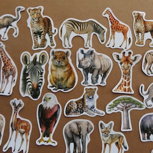 May include: A selection of animal stickers depicting African wildlife. The stickers showcase a giraffe, zebra, leopard, rhino, elephant, and other animals. Each sticker is a detailed watercolour illustration with a white border, set against a brown background.