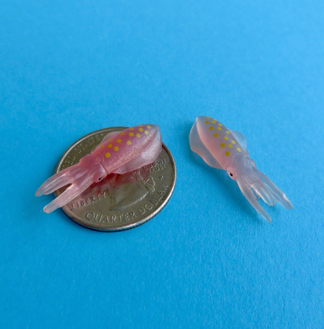 Miniature Squid - Mini Oceanterrarium Supplies - Teeny Tiny Sea