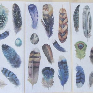 Watercolor Feather and Bird Egg Stickers, Nature Bird Lover Stickers, Planner Journal Scrapbooking Stickers, Feather Theme Stationery
