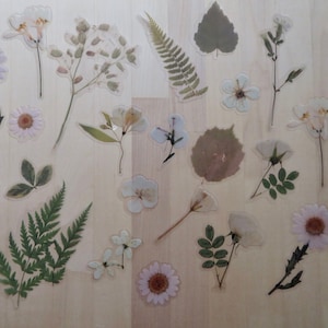 White Wildflower Pressed Flower & Leaf Stickers, Nature Garden Woodland Plant Planner Journal Stickers, Botanical Stationery