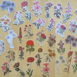 40 Illustrated Flower Stickers, Paper & PVC Nature Garden Woodland Plant Planner Journal Stickers, Botanical Stationery, Gardener Gift image 4