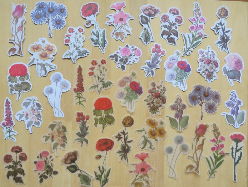 40 Illustrated Flower Stickers, Paper & PVC Nature Garden Woodland Plant Planner Journal Stickers, Botanical Stationery, Gardener Gift image 4
