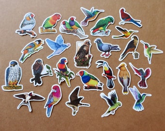 25 Large Bird Stickers, Birding Ornithology Realistic Planner Journal Scrapbook Stickers, Bird Lover Parrot Parakeet Hummingbird Stationery