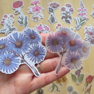 40 Illustrated Flower Stickers, Paper & PVC Nature Garden Woodland Plant Planner Journal Stickers, Botanical Stationery, Gardener Gift image 6