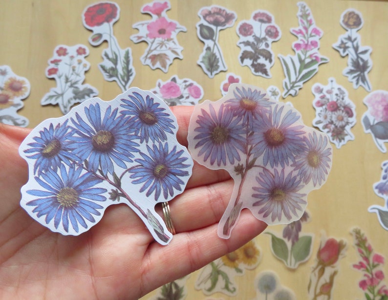 40 Illustrated Flower Stickers, Paper & PVC Nature Garden Woodland Plant Planner Journal Stickers, Botanical Stationery, Gardener Gift image 6