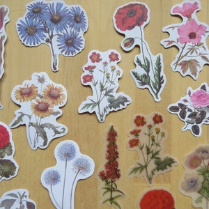 40 Illustrated Flower Stickers, Paper & PVC Nature Garden Woodland Plant Planner Journal Stickers, Botanical Stationery, Gardener Gift image 3