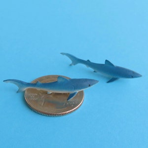 Puede incluir: Dos pequeños tiburones de juguete azules sobre un fondo azul claro. Un tiburón descansa sobre una moneda, mientras que el otro está posicionado detrás. Los tiburones tienen aletas detalladas y una apariencia realista, lo que sugiere un tema marino.
