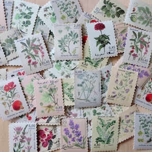 60 Botanical Flower Stamp Shaped Stickers, Floral Nature Theme Journal Planner Scrapbooking Stickers