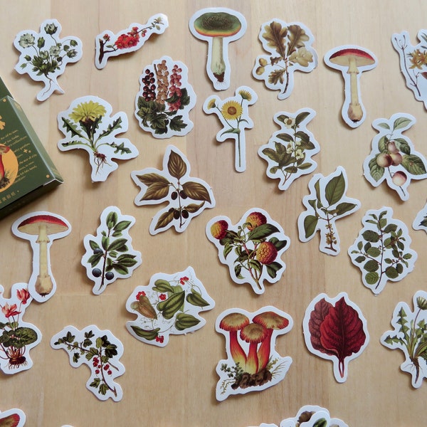 Woodland Stickers, Mushroom Berry Leaf Nature Plant Stickers, Planner Journal Diary Stickers, Autumn Stationery Supplies, Forest Stickers
