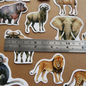 May include: Animal stickers featuring a hippo, wildebeest, elephant, lion, and cheetah. A ruler shows measurements up to 15 cm. The stickers are on a brown surface.