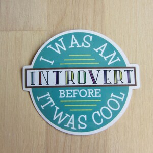 Introvert Vinyl Die Cut Sticker, Funny Introvert Gift, Introvert Word Typography Humor Stationery, Introvert Sticker Badge afbeelding 4