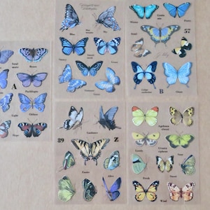 Puede incluir: Una colección de pegatinas de mariposas en varios colores, incluyendo azul, amarillo y verde. Cada pegatina presenta una ilustración detallada de una mariposa, algunas etiquetadas con nombres como "Soulmate" y "Greta oto". Las pegatinas están dispuestas sobre hojas transparentes.