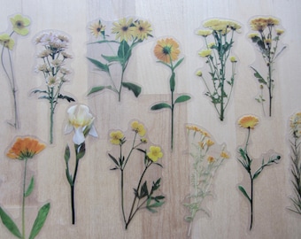 Wildflower Yellow Orange Realistic Flower Stickers, Nature Garden Woodland Plant Planner Journal Stickers, Botanical Stationery