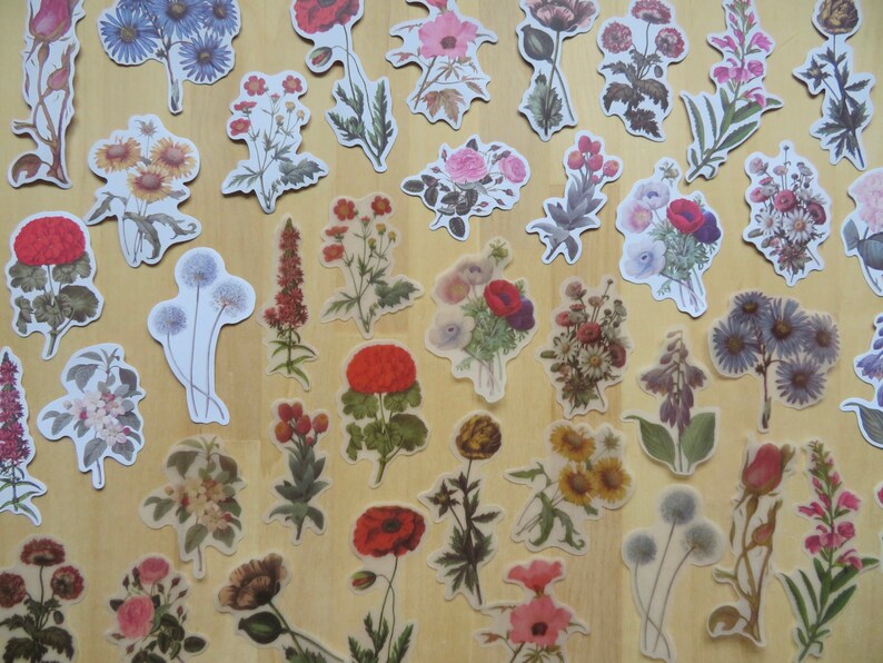 40 Illustrated Flower Stickers, Paper & PVC Nature Garden Woodland Plant Planner Journal Stickers, Botanical Stationery, Gardener Gift image 1