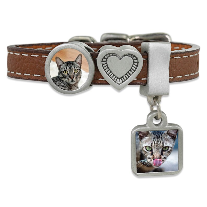 Pet Charm Bracelet Extra Pet Picture Charms for Custom Pet Etsy