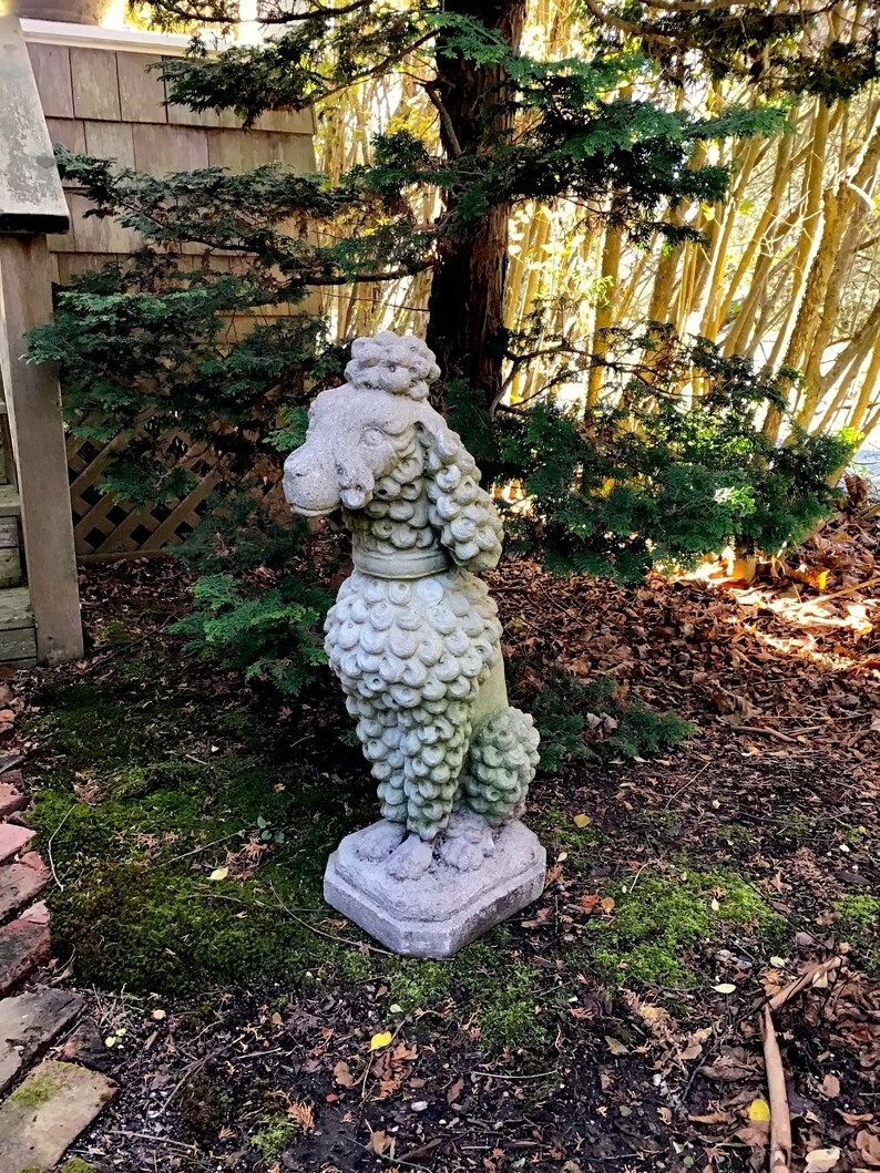 Poodle Dog Garden Statue Vintage French Poodle Mid Century Etsy