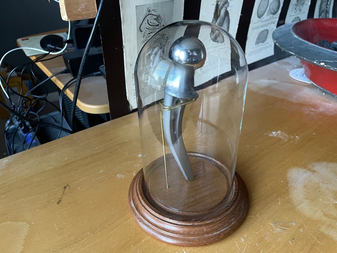 Medical Science Oddity Hip Joint in a Glass Dome Gothic Etsy