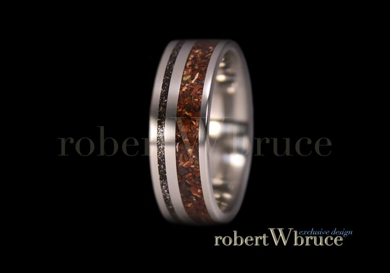 Exclusive rWb Custom Design Tyrannosaurus /& Meteorite Ring Dinosaur Bone Ring Titanium Groom/'s Wedding Band