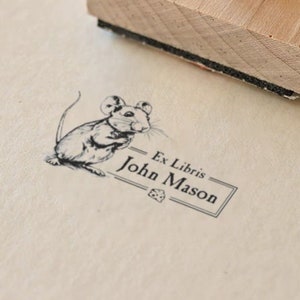 Tampon bibliothèque souris, tampon Ex Libris auto-encreur personnalisé, tampon pour plaque de livre, cadeau enseignant, cadeau d'anniversaire, amoureux des livres, cadeau pour elle