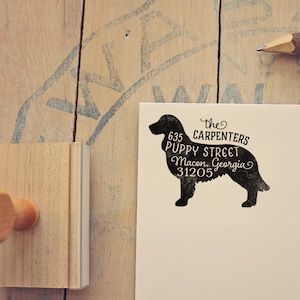 Brittany Spaniel Adressstempel, Hundebesitzer Geschenk, Holzgriff, personalisierter Stempel Bild 1