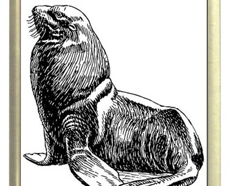 Seal Fridge Magnet 7cm by 4.5cm,