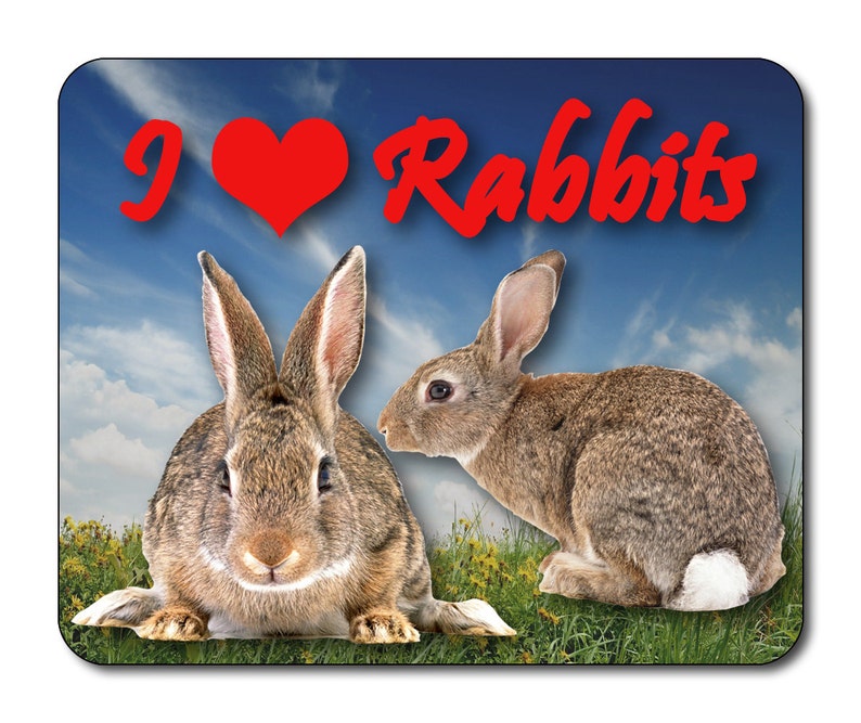 I Love Rabbits Mouse Mat Mouse Pad Rabbits