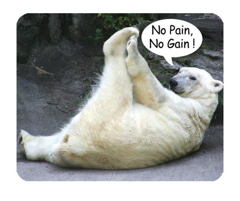 Polar Bear No Pain, No Gain Mouse Mat Mouse Pad image 1