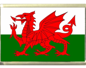 Welsh Fridge Magnet Red Dragon Silver Foil Stamp Souvenir Gift Wales Cymru 