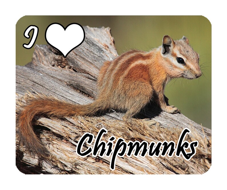 Chipmunk, I Love Chipmunks Mouse Mat, Mouse Pad image 1