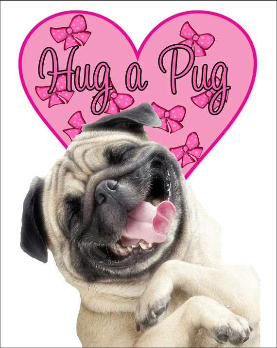 pug dog hug a