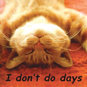 Cat Wooden Magnetic Fridge Magnet from suarholz Handmade 7 cm