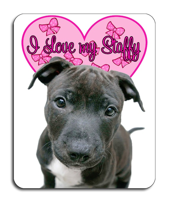 I love cheap my staffy