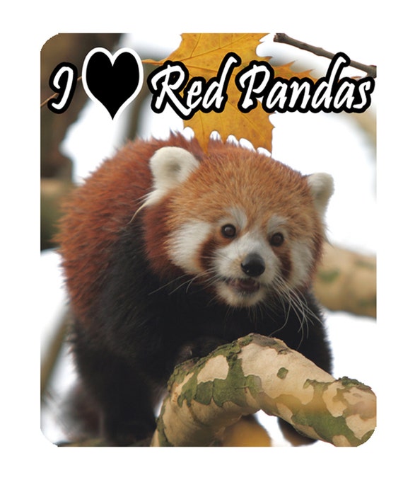 Roter Panda Ich Liebe Rote Pandas Mat Maus Mauspad Etsy