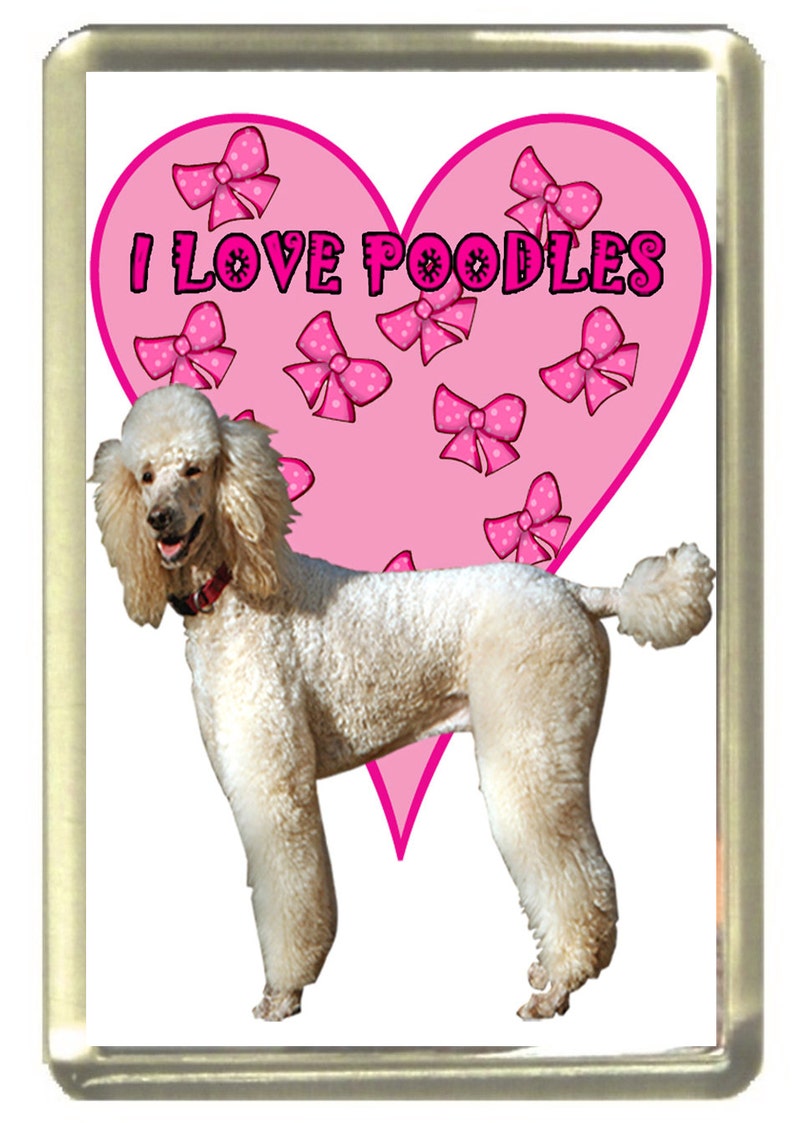 I Love Poodles Dog Fridge Magnet 7cm by 4.5cm,