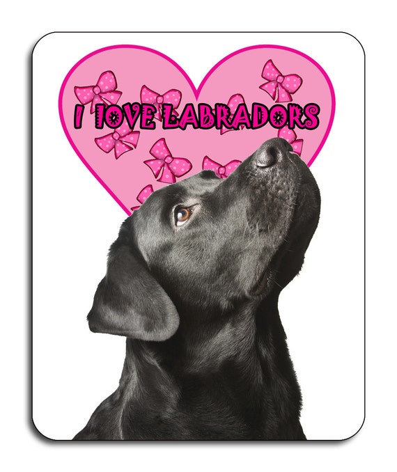 i love labradors