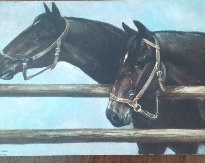 Antique 1909 HORSE Postcard Artist Signed Postmarked Etsy