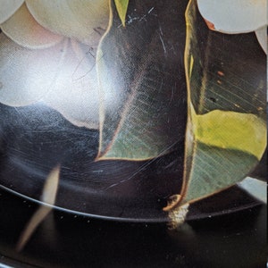 White & Yellow Plumeria Hawaiian metal bar tray from the 1970s, so pretty and useful. image 2