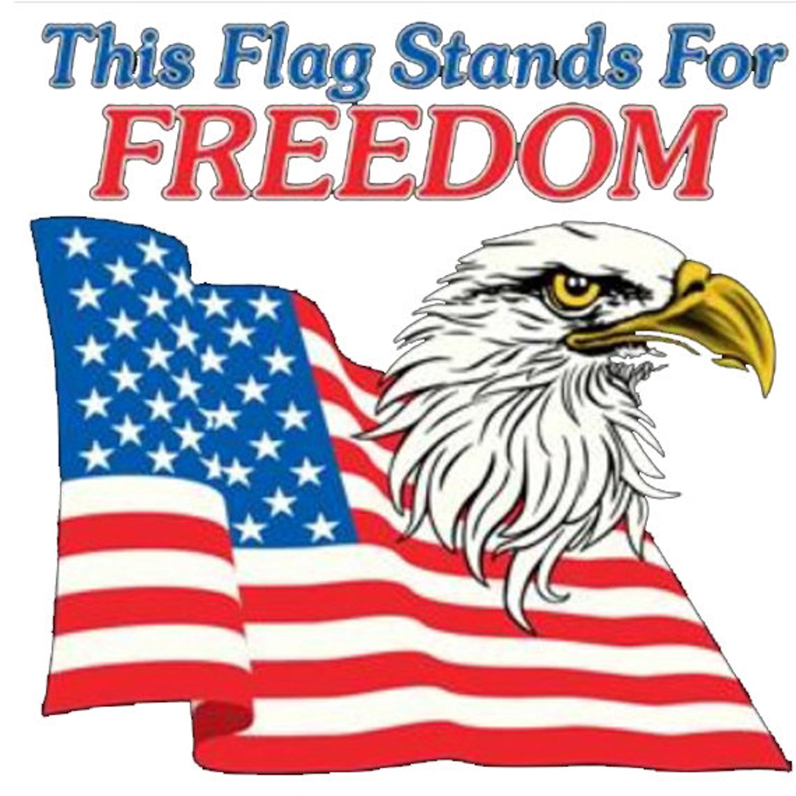 Flag Stands For Freedom Patriotic US Flag Printed Tee Shirt Etsy