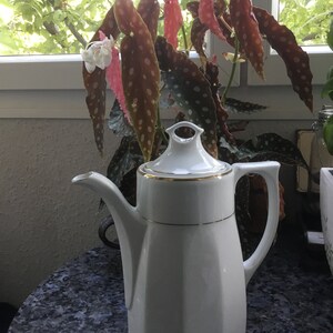 Könnte beinhalten: Weiße Kaffeekanne aus Keramik mit goldener Verzierung und abgerundetem Griff. Die Kanne steht auf einer schwarzen Granit-Arbeitsplatte. Im Hintergrund befindet sich eine Topfpflanze mit rosa und grünen Blättern.