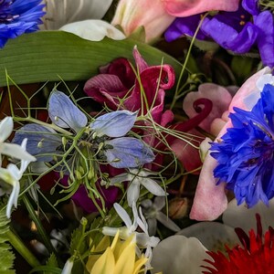 Tarjetas con notas botánicas, papelería natural, paquete de tarjetas para toda ocasión, tarjetas de felicitación florales (1, 10, 30 y 50 unidades), paquete de tarjetas con notas en blanco a granel