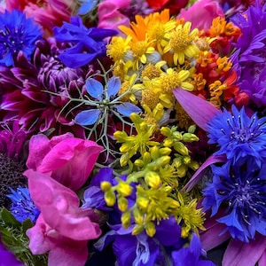 Tarjetas de felicitación, tarjetas botánicas, papelería con motivos naturales, tarjetas para cualquier ocasión, tarjetas florales