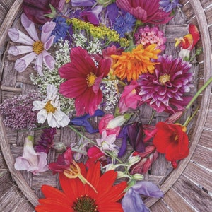 Ensemble de cartes de voeux - modèle 2 bouquets dans un panier - multidirectionnel, cartes-cadeaux, mots de remerciement, ensemble de papeterie, occasion