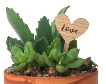 Piquet de plante Heart Love [étiquettes de plantes de décoration de jardin intérieur, faveur de mariage] JW Design Studio