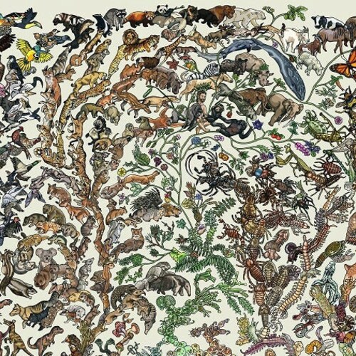 Darwinian Theory of Evolution Poster Plants and Animals Etsy