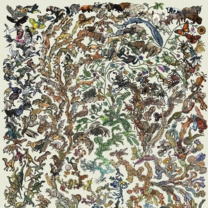 Póster de la Teoría Darwiniana de la Evolución - Plantas y Animales Árbol Filogenético de la Vida - Idea de regalo para amantes de los animales