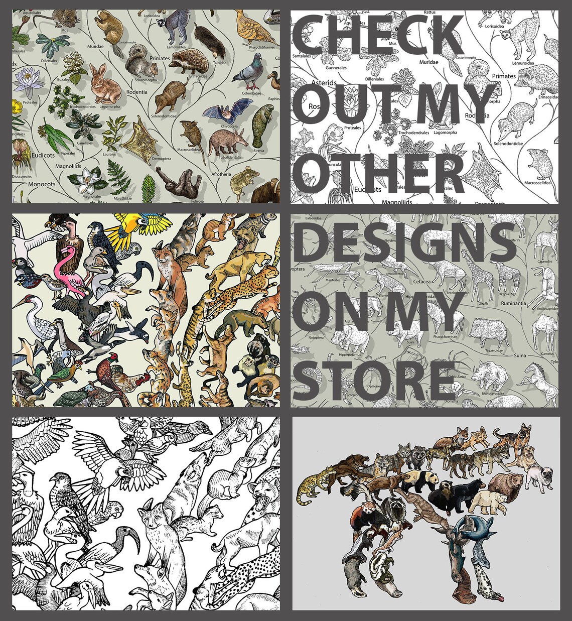 Darwinian Theory of Evolution Poster Plants and Animals Etsy