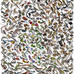 Poster Darwinian Theory of Evolution - Piante e Animali Poster Filogenetico dell'Albero della Vita - Idea regalo per amanti della natura