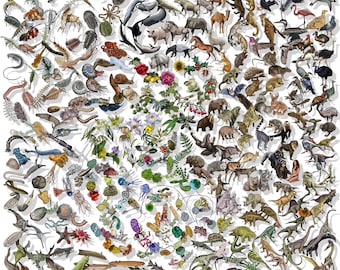 Darwinian Evolution Poster: Phylogenetic Tree of Life Art